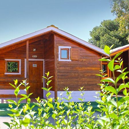 Bungalows Camping El Cid Peñíscola Extérieur photo